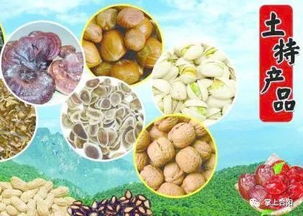 2018年陜西供銷(xiāo)·合陽(yáng)年貨大展銷(xiāo) 品味農(nóng)副土特，喜迎新春佳節(jié)